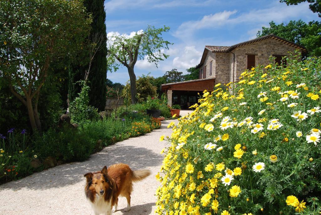 Bed and Breakfast Casale Il Cerqueto Сан-Северино-Марке Экстерьер фото