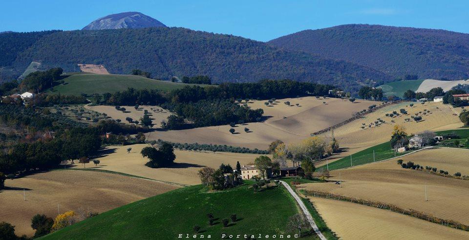 Bed and Breakfast Casale Il Cerqueto Сан-Северино-Марке Экстерьер фото