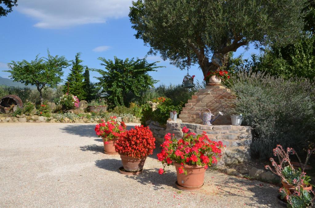 Bed and Breakfast Casale Il Cerqueto Сан-Северино-Марке Экстерьер фото